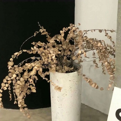 汉滨福瑞交流群